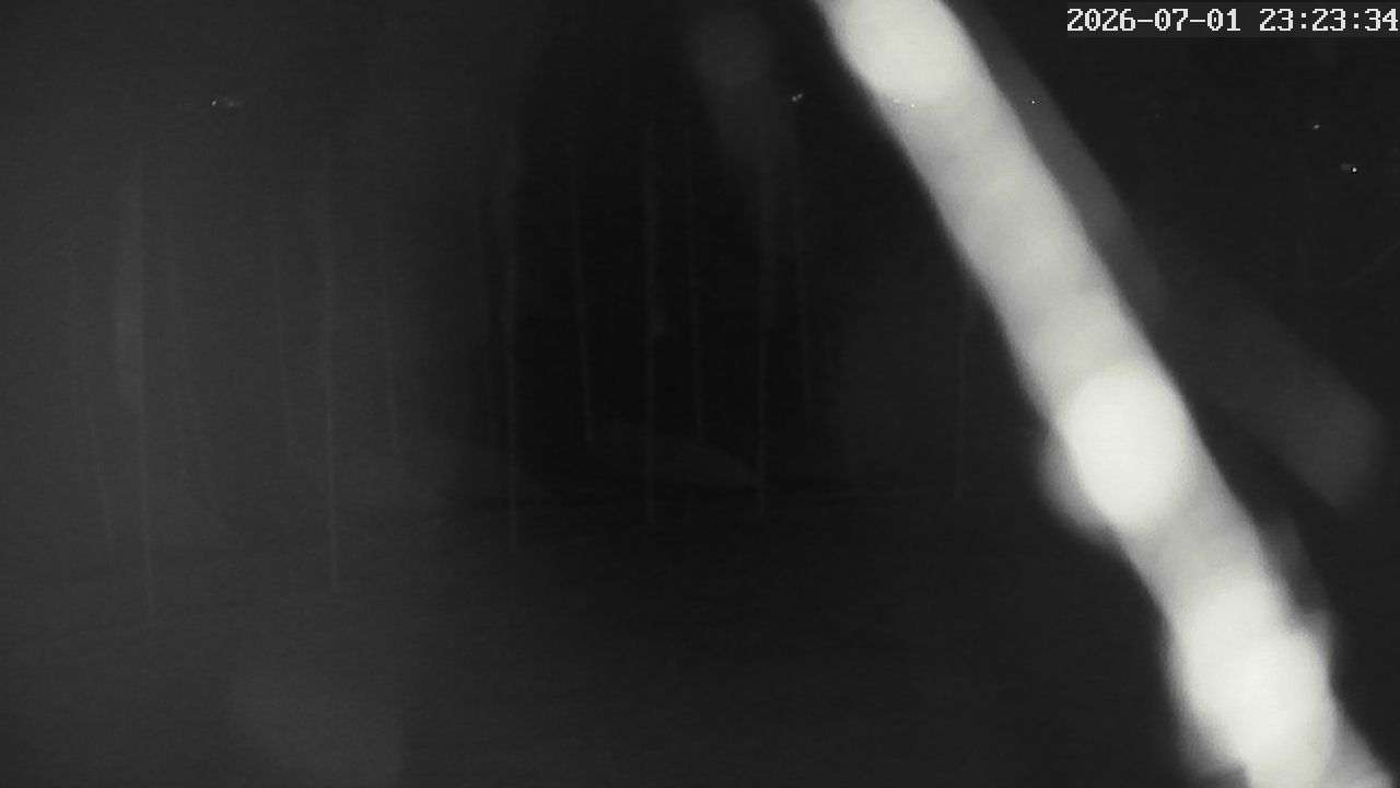 MRSV Bayern Webcam