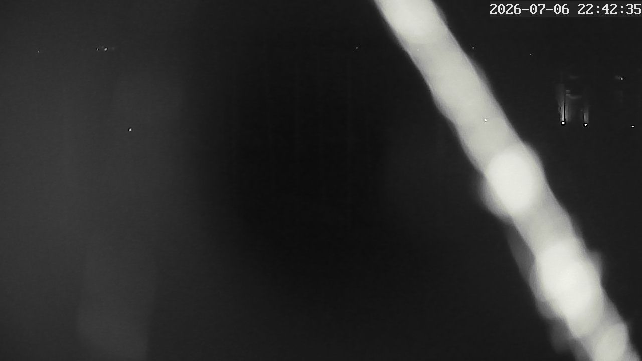MRSV Bayern Webcam