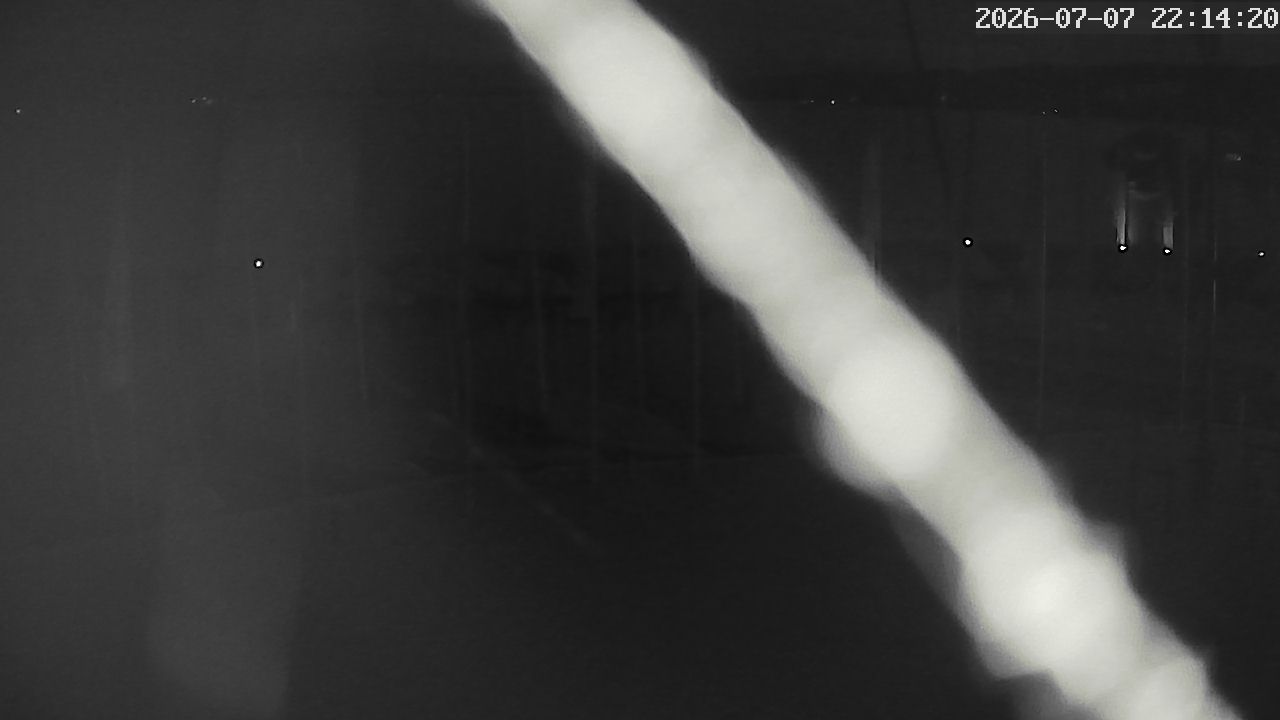 MRSV Bayern Webcam
