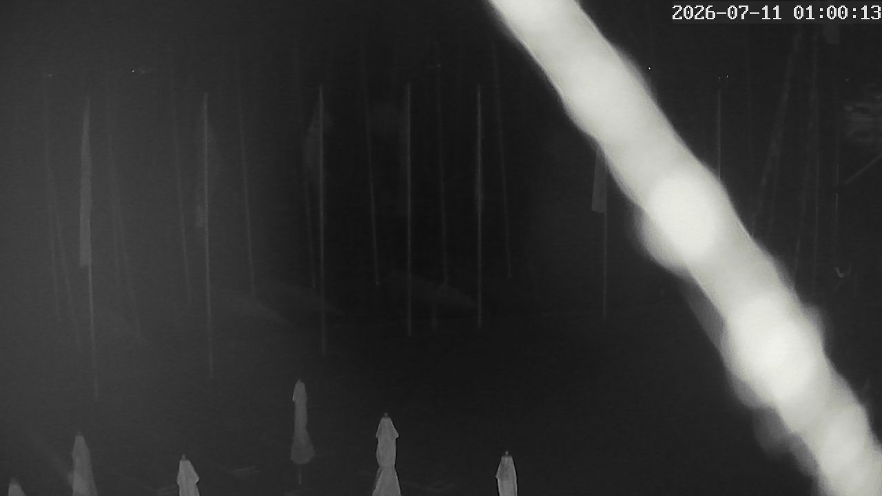 MRSV Bayern Webcam