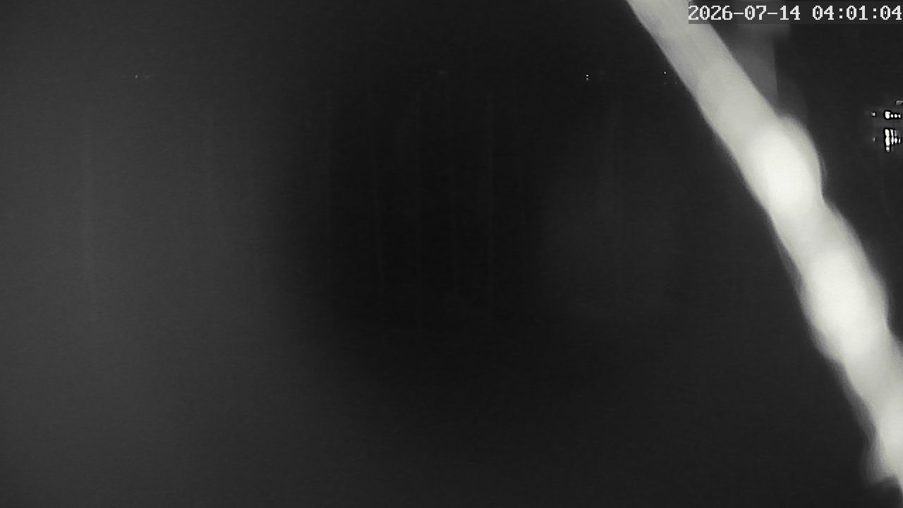 MRSV Bayern Webcam