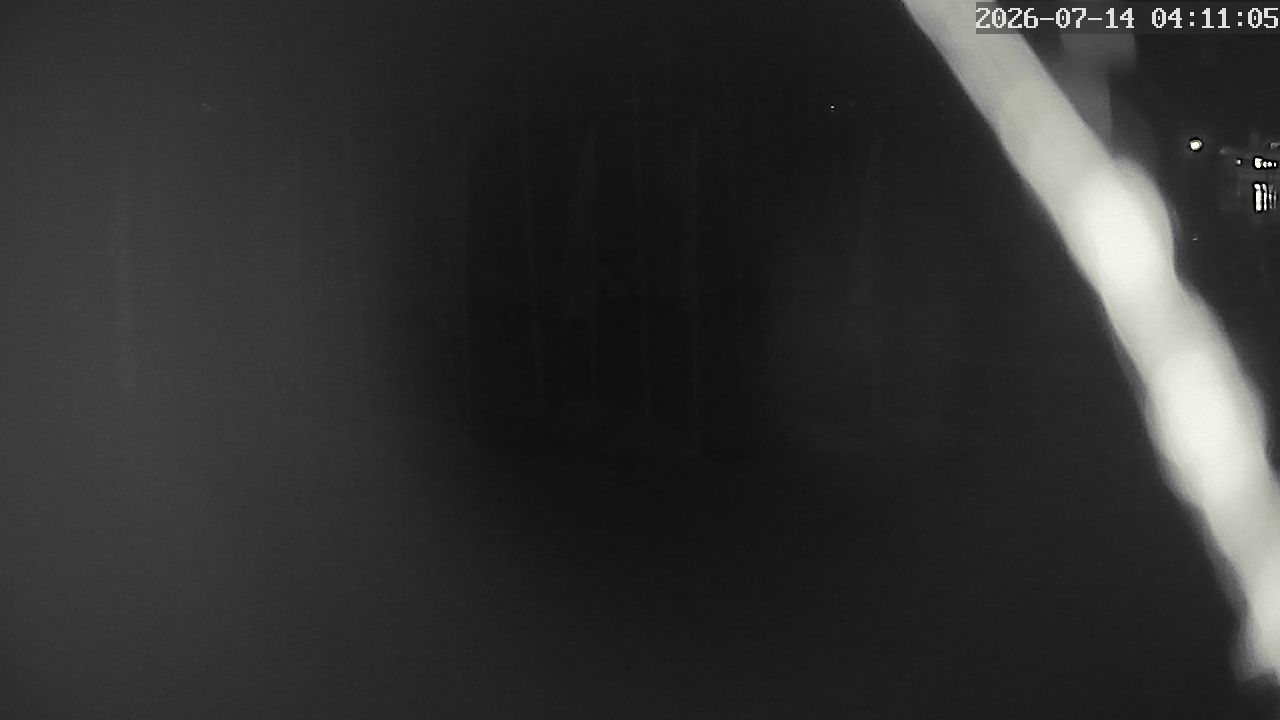MRSV Bayern Webcam