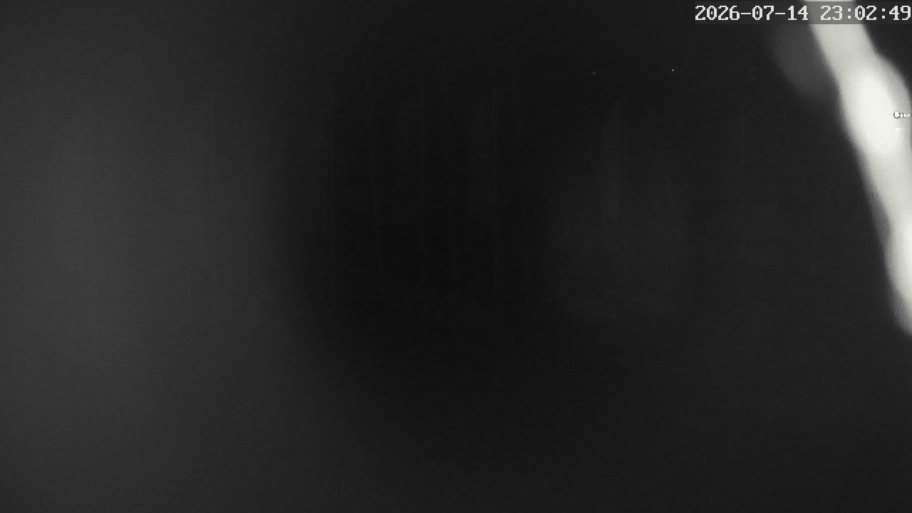 MRSV Bayern Webcam