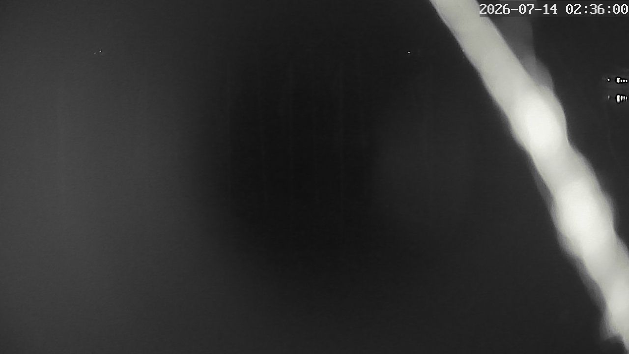 MRSV Bayern Webcam