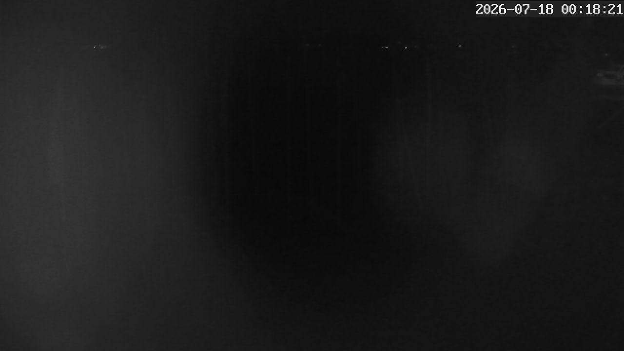 MRSV Bayern Webcam