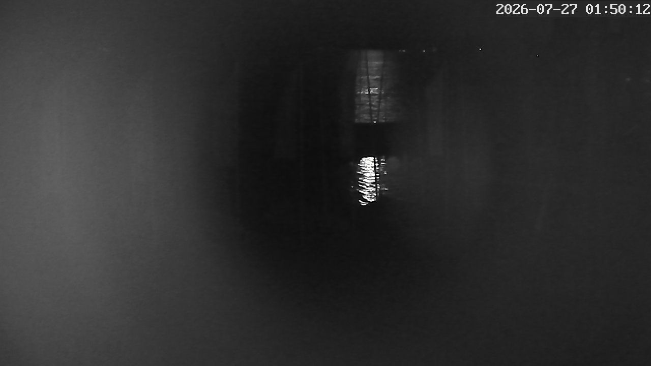 MRSV Bayern Webcam