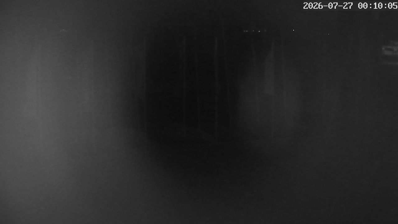 MRSV Bayern Webcam
