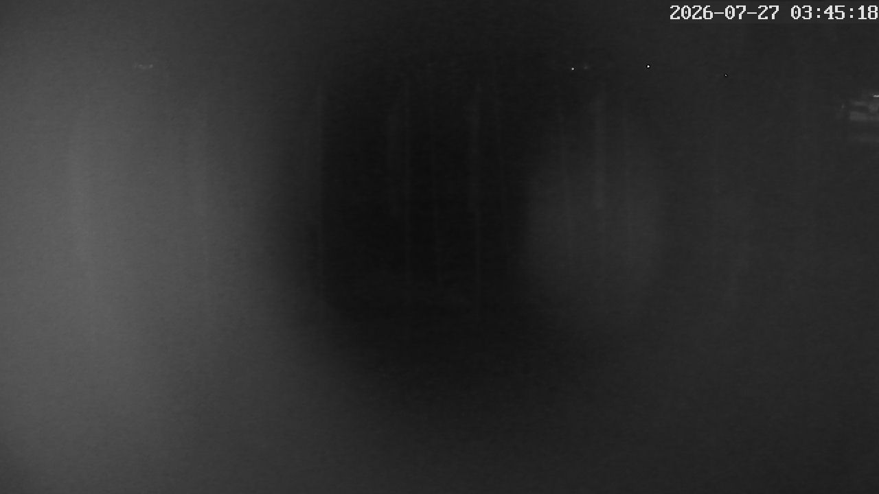 MRSV Bayern Webcam
