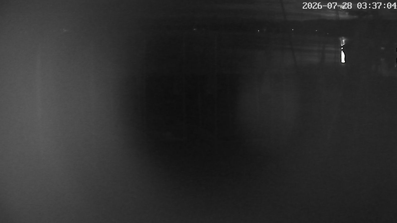 MRSV Bayern Webcam