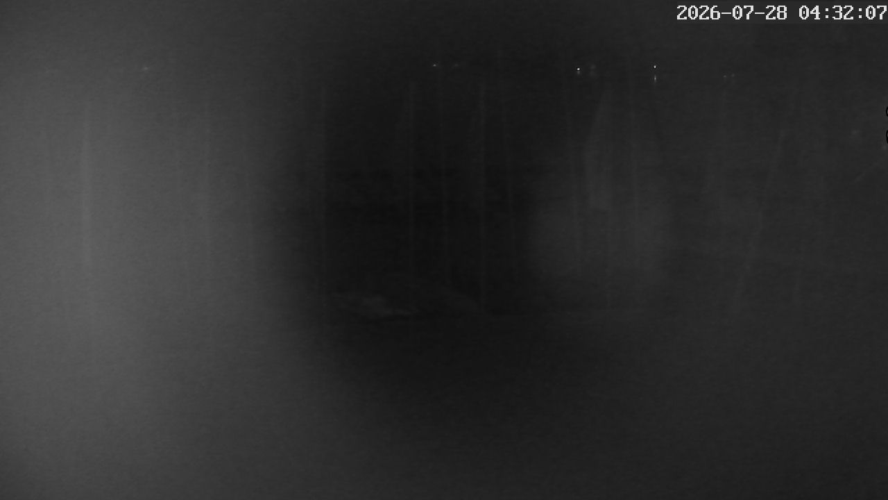 MRSV Bayern Webcam