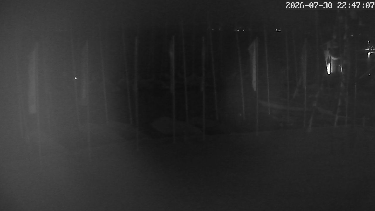 MRSV Bayern Webcam
