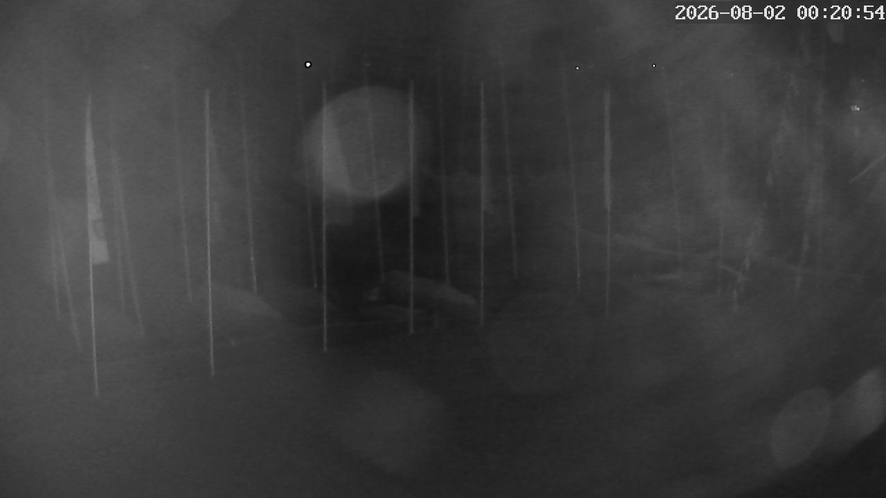 MRSV Bayern Webcam