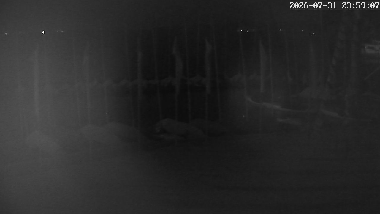 MRSV Bayern Webcam