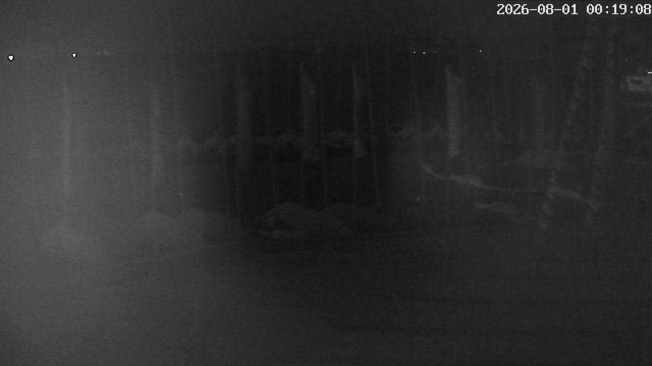 MRSV Bayern Webcam