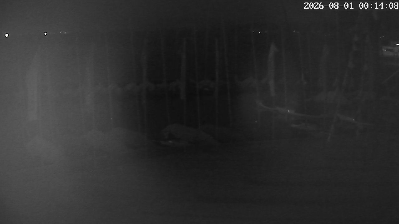 MRSV Bayern Webcam
