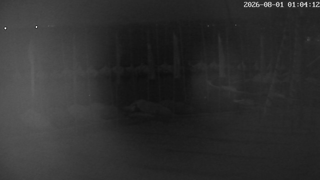 MRSV Bayern Webcam
