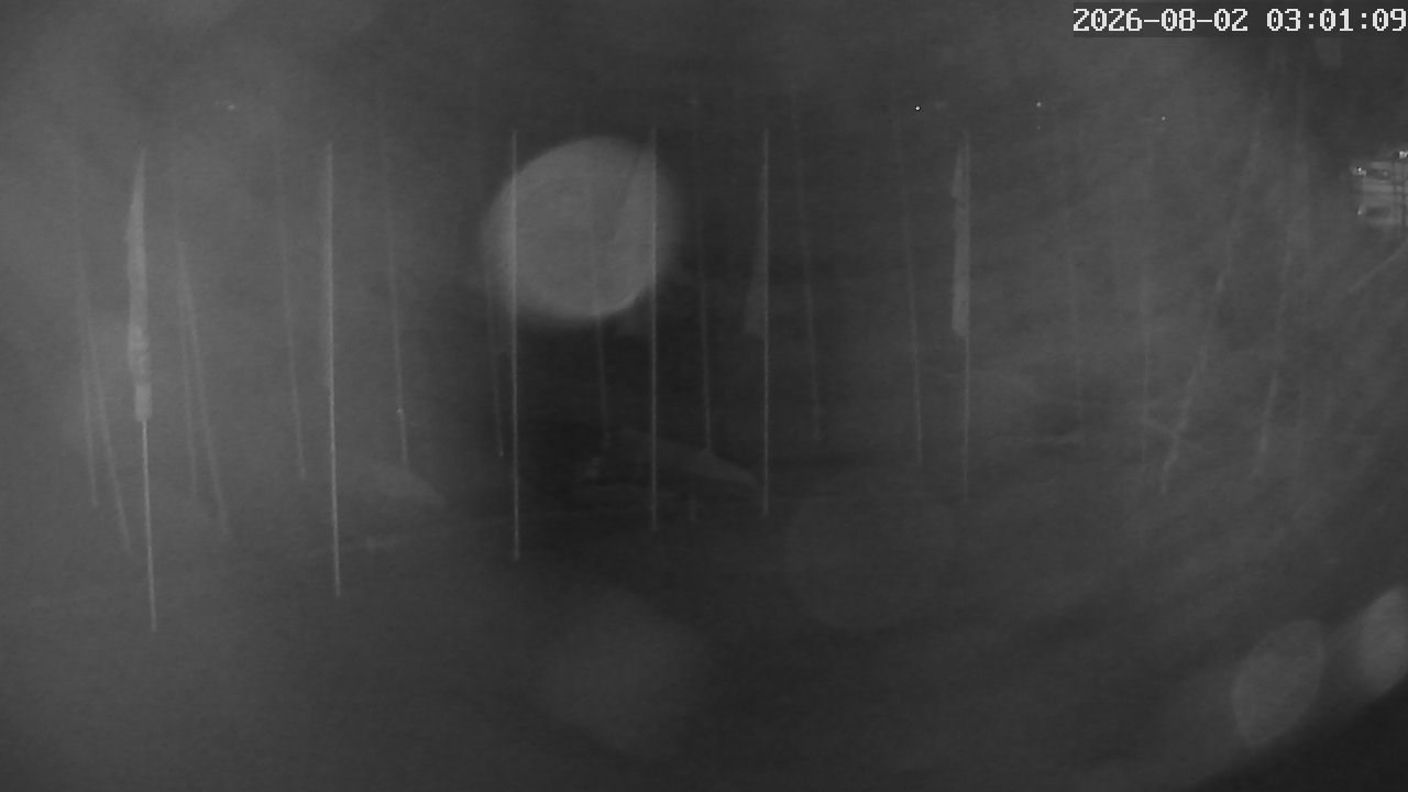 MRSV Bayern Webcam