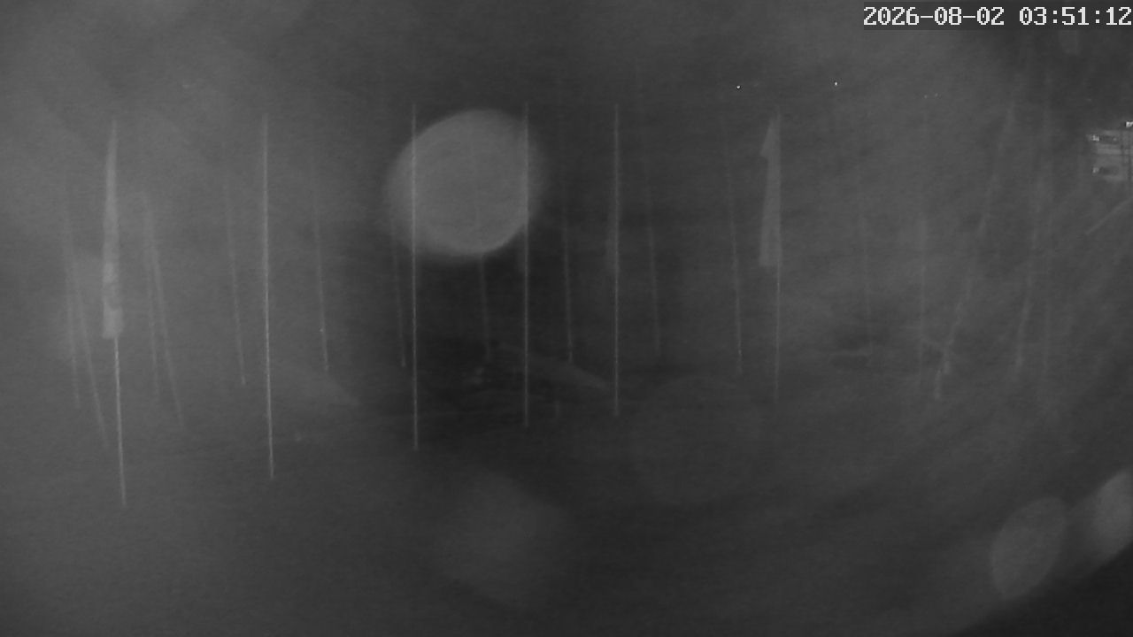 MRSV Bayern Webcam