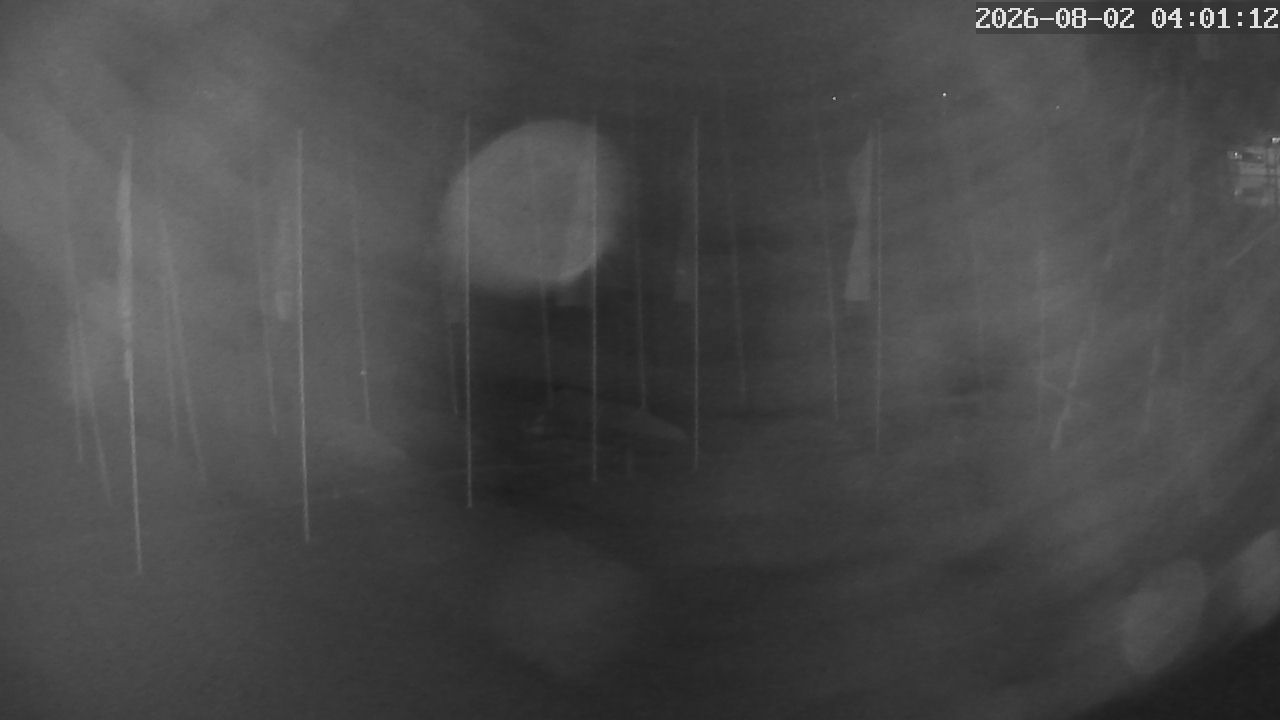 MRSV Bayern Webcam