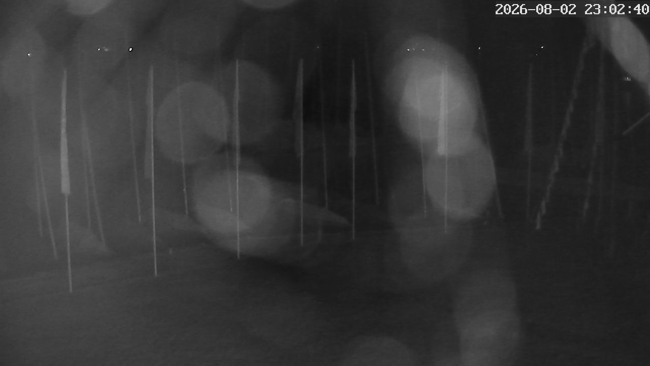 MRSV Bayern Webcam