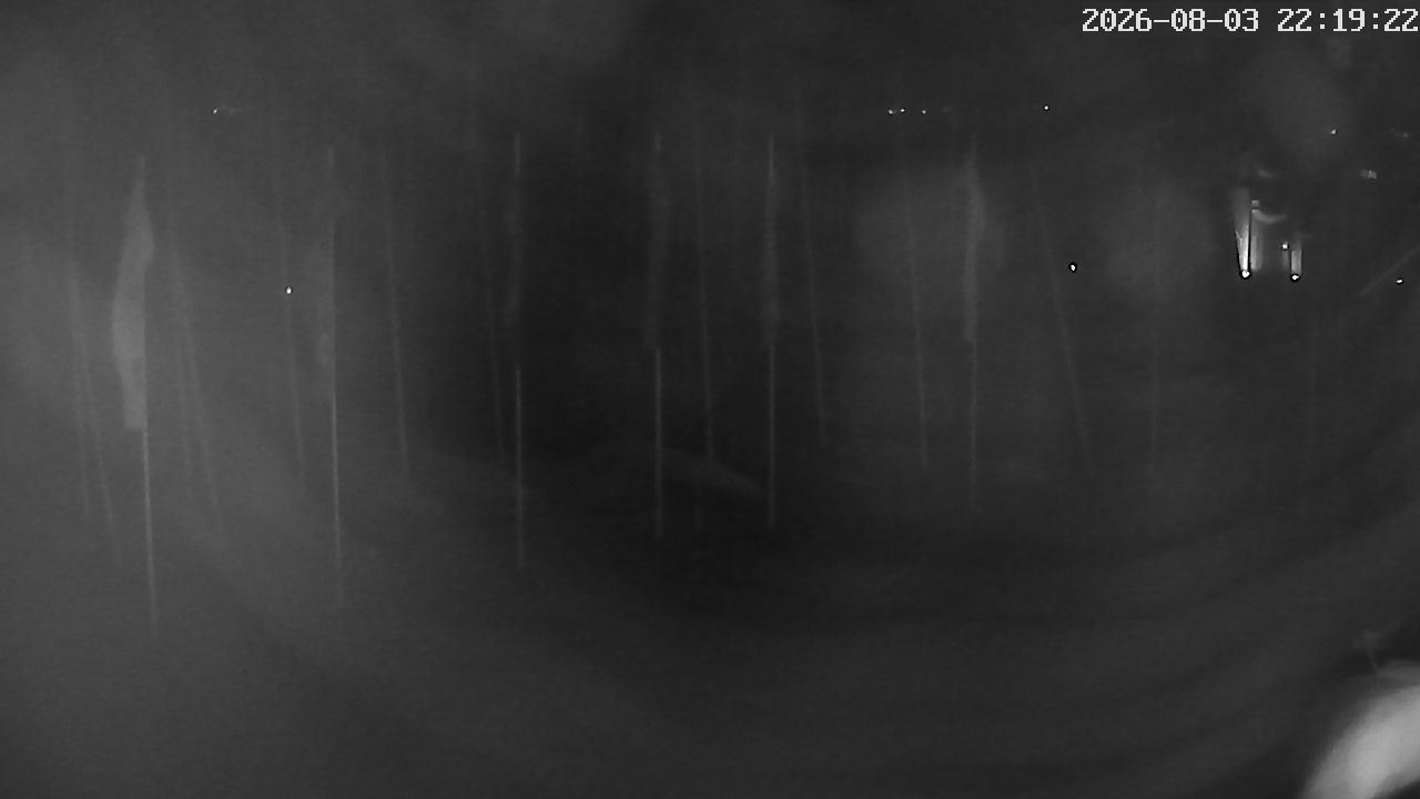 MRSV Bayern Webcam