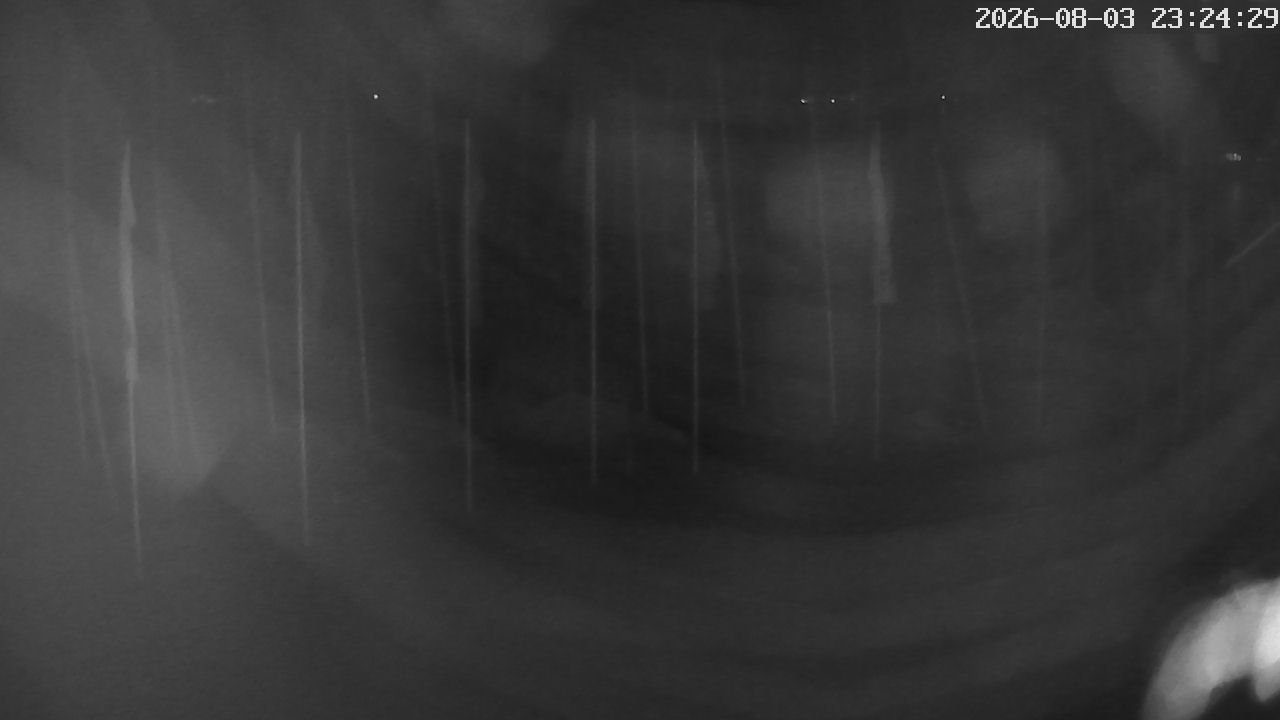 MRSV Bayern Webcam