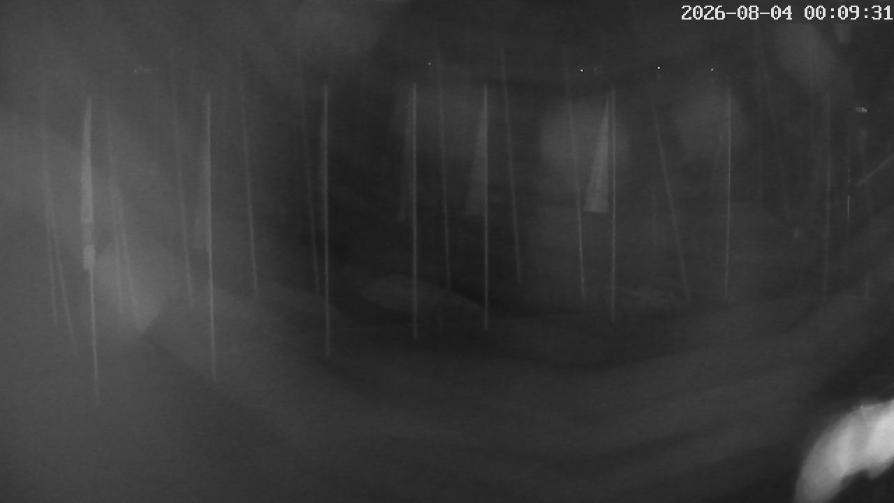 MRSV Bayern Webcam