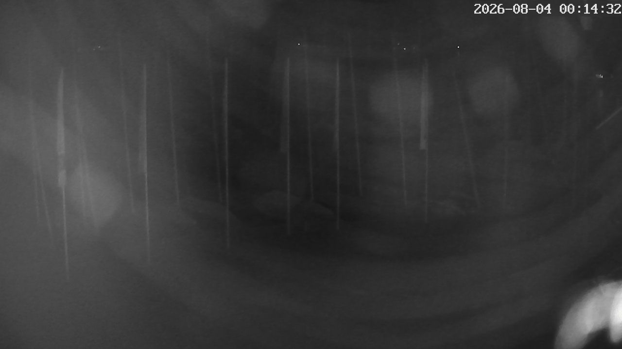 MRSV Bayern Webcam