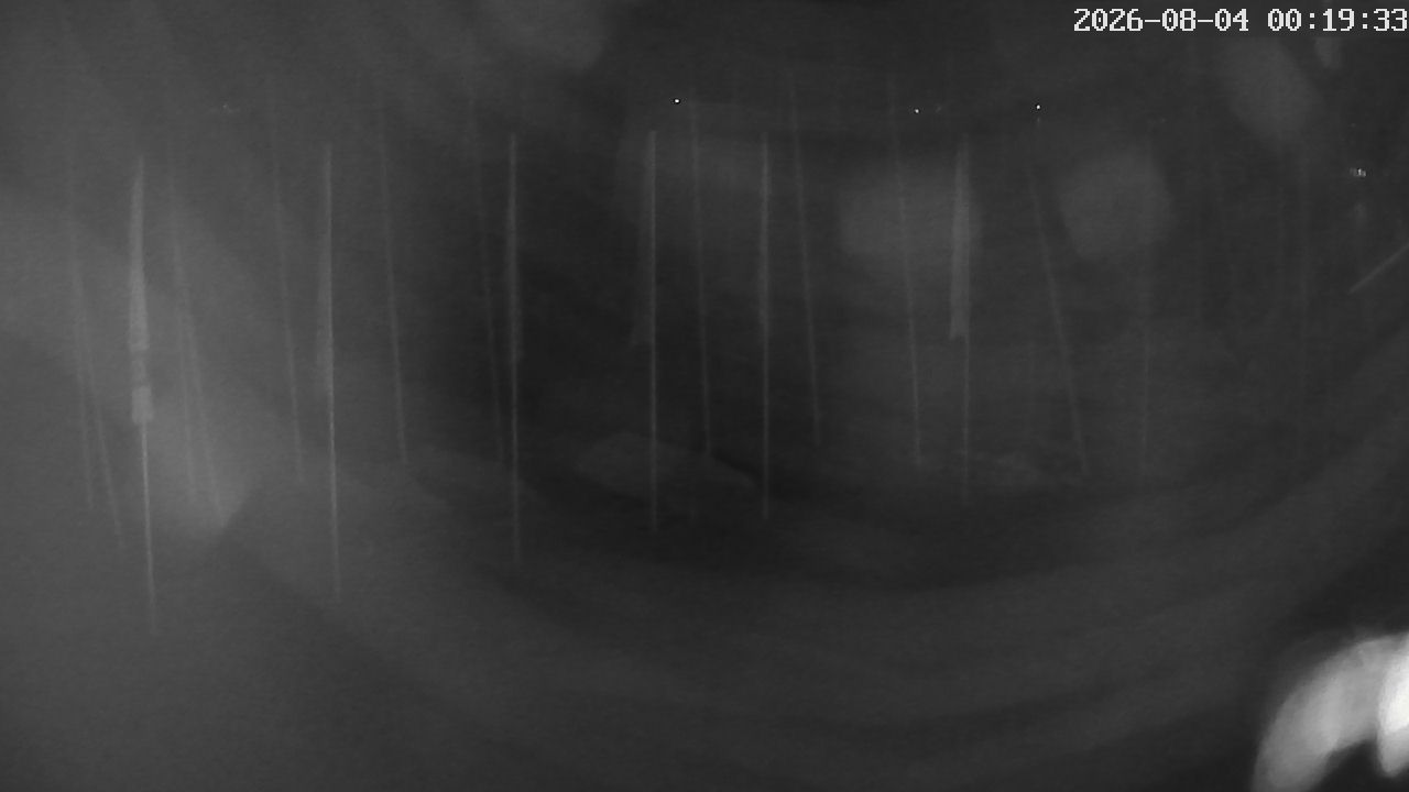 MRSV Bayern Webcam
