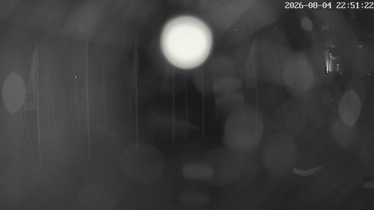 MRSV Bayern Webcam