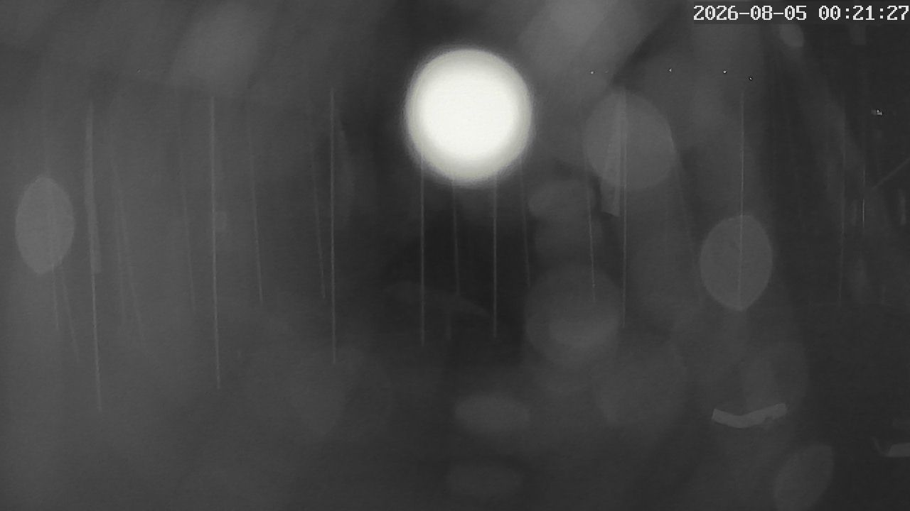 MRSV Bayern Webcam