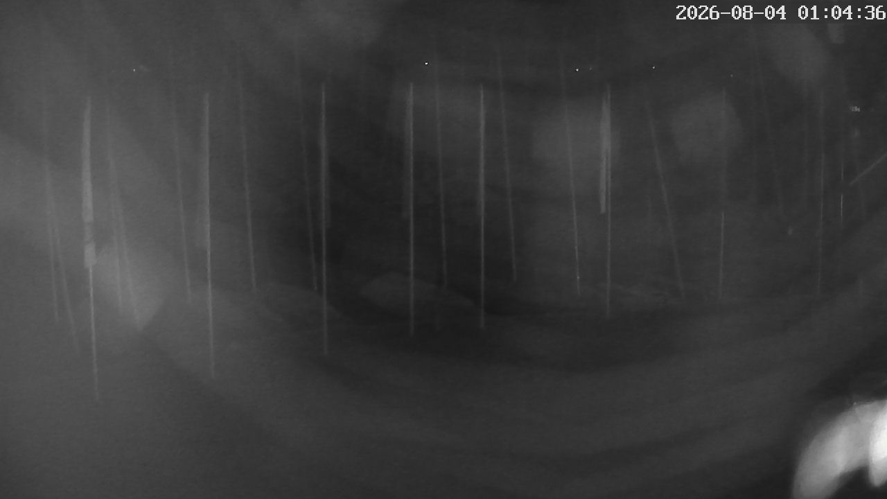 MRSV Bayern Webcam