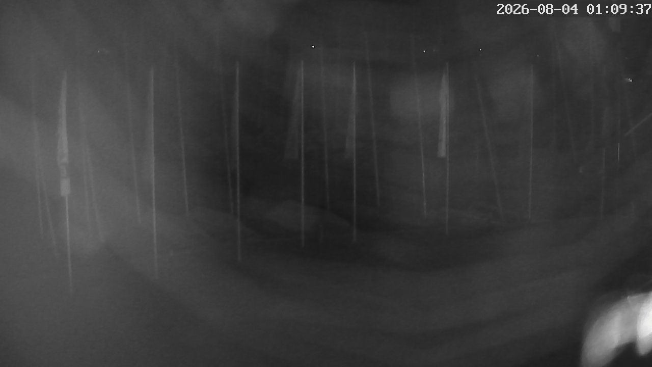 MRSV Bayern Webcam