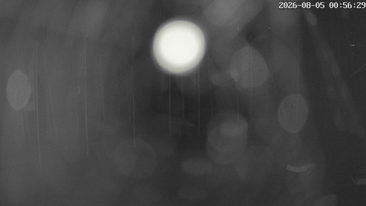 MRSV Bayern Webcam