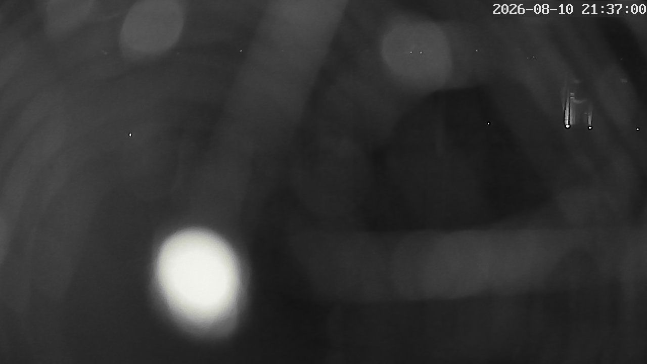 MRSV Bayern Webcam