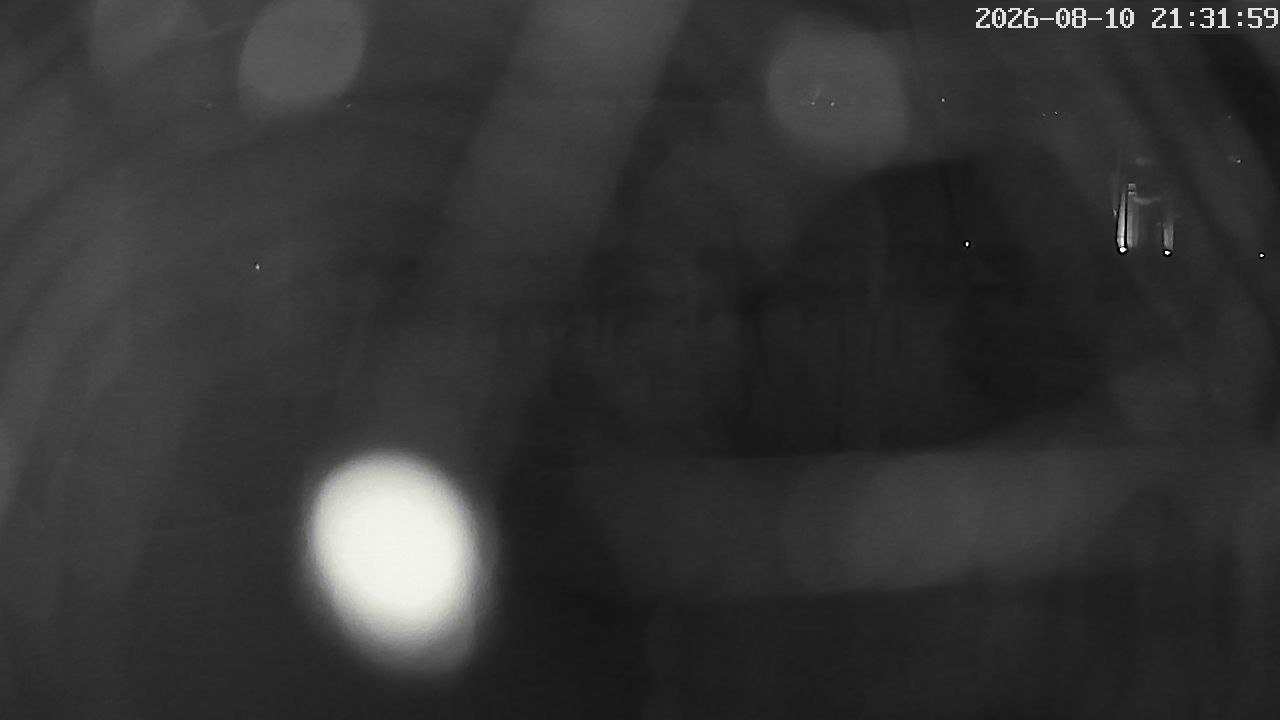MRSV Bayern Webcam