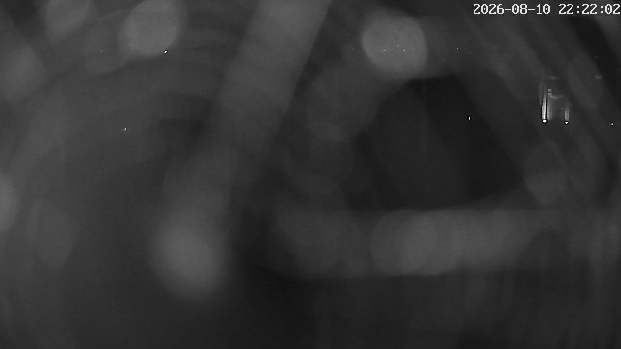 MRSV Bayern Webcam