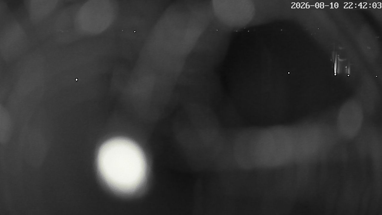 MRSV Bayern Webcam