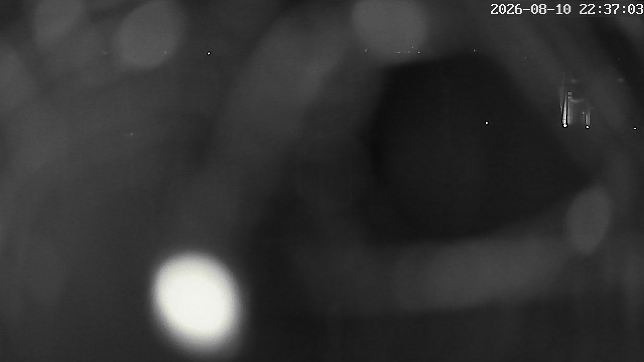 MRSV Bayern Webcam