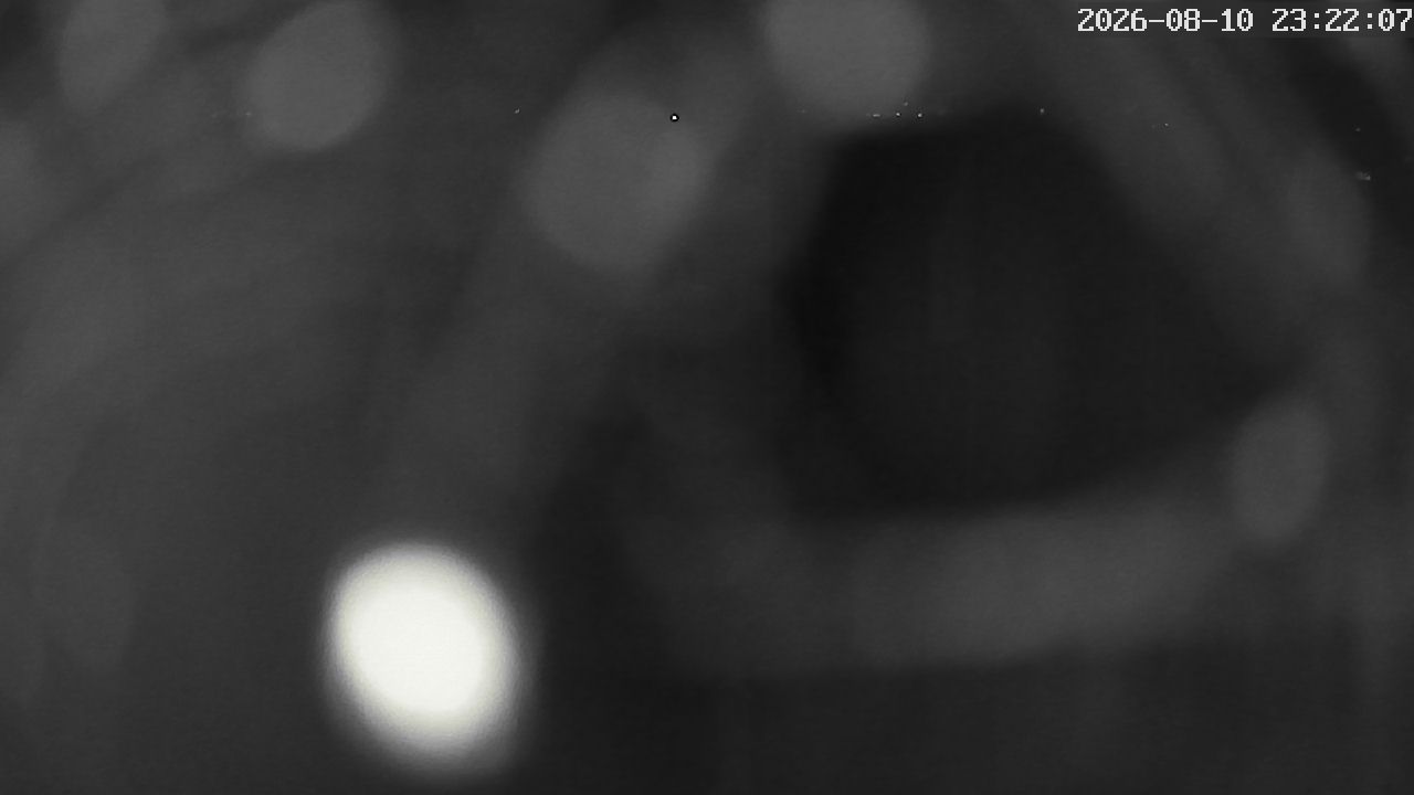 MRSV Bayern Webcam