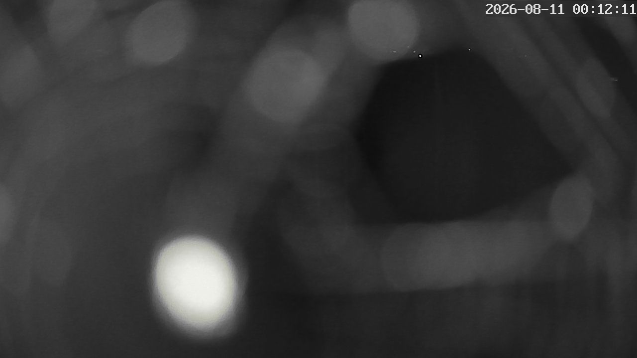 MRSV Bayern Webcam