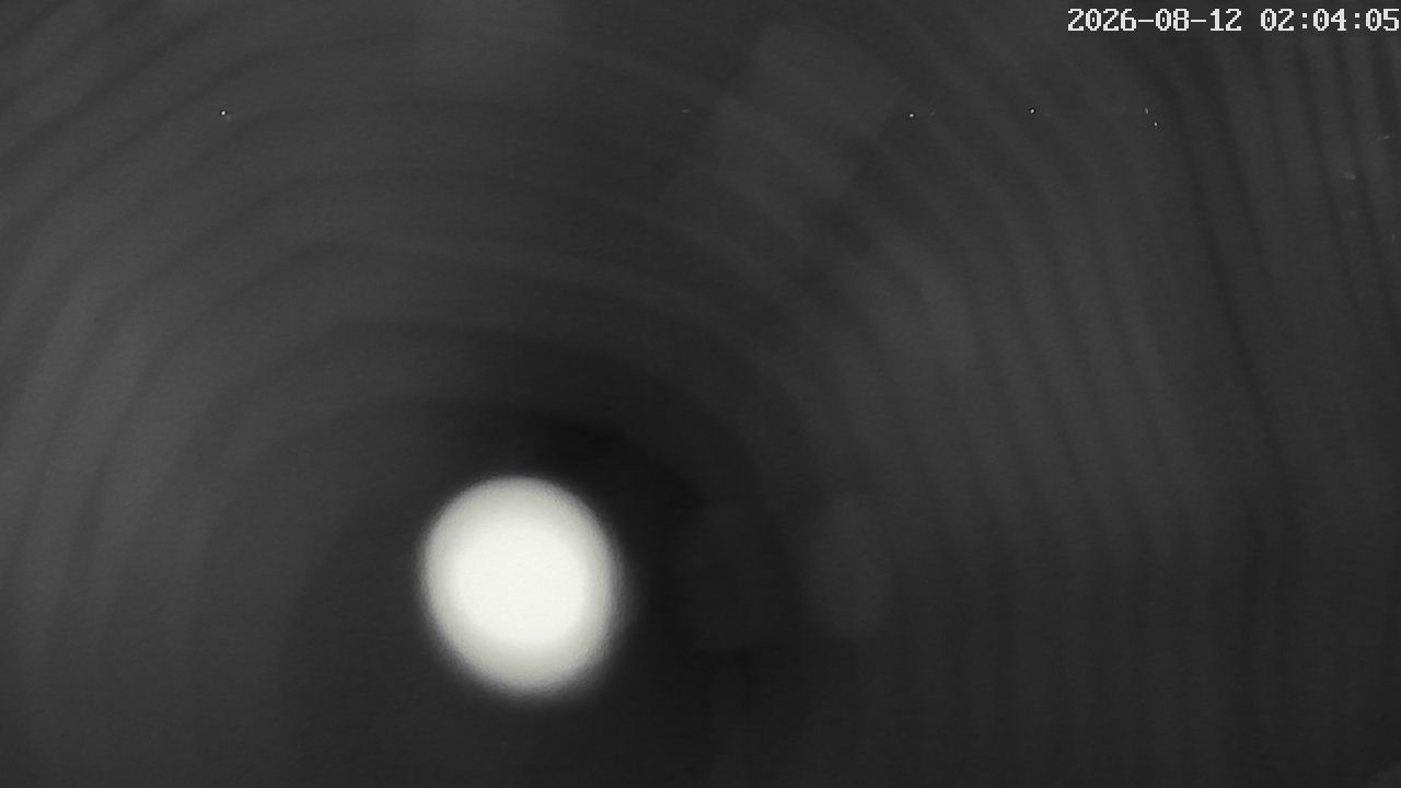 MRSV Bayern Webcam