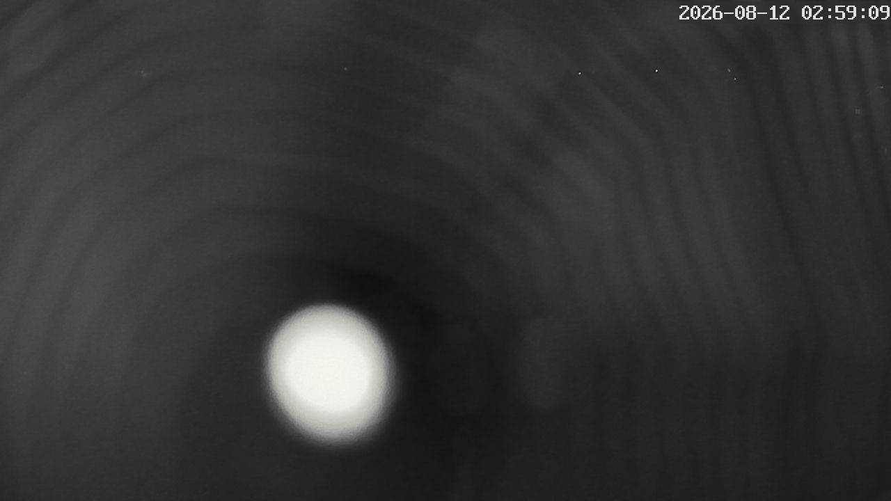 MRSV Bayern Webcam