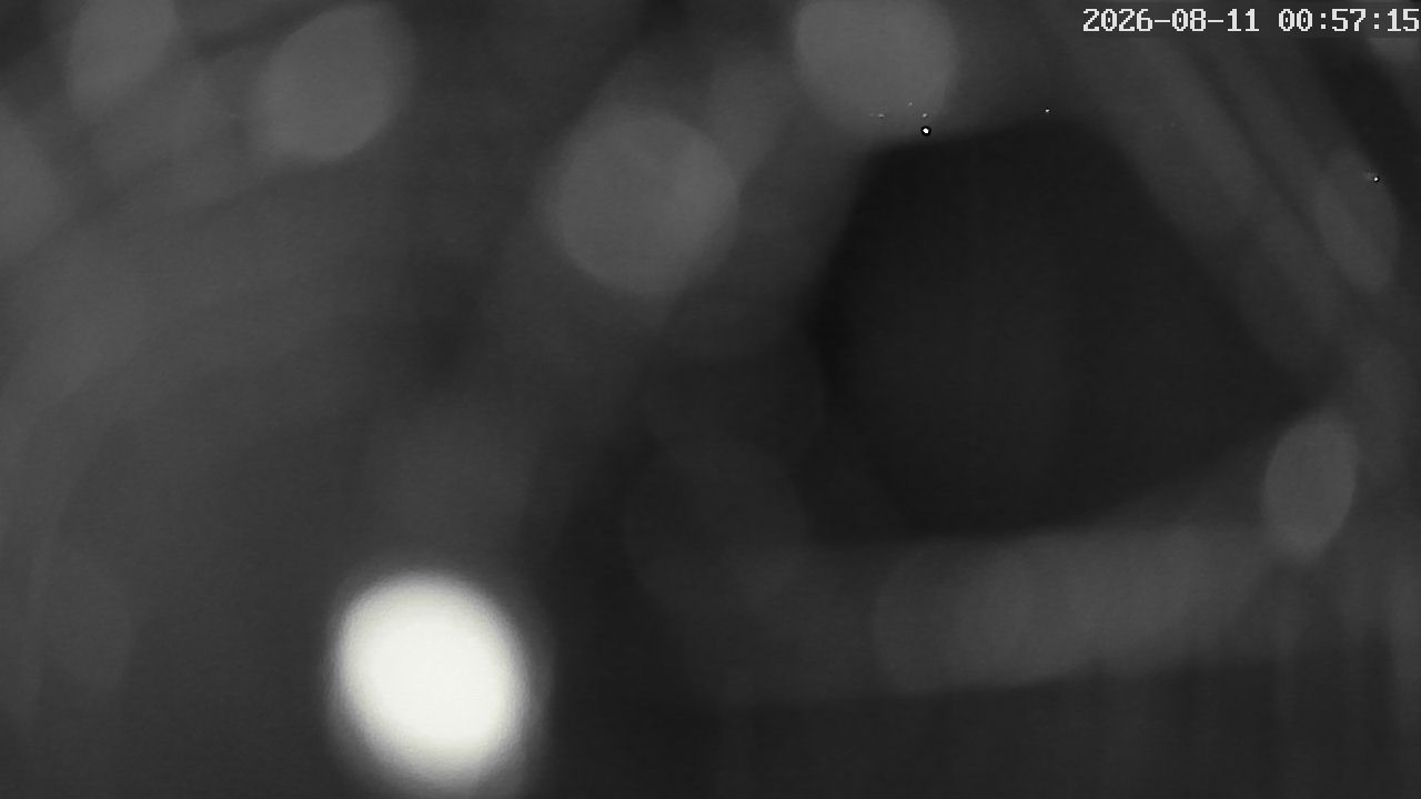 MRSV Bayern Webcam