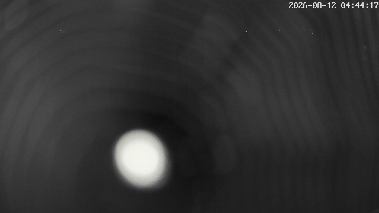 MRSV Bayern Webcam