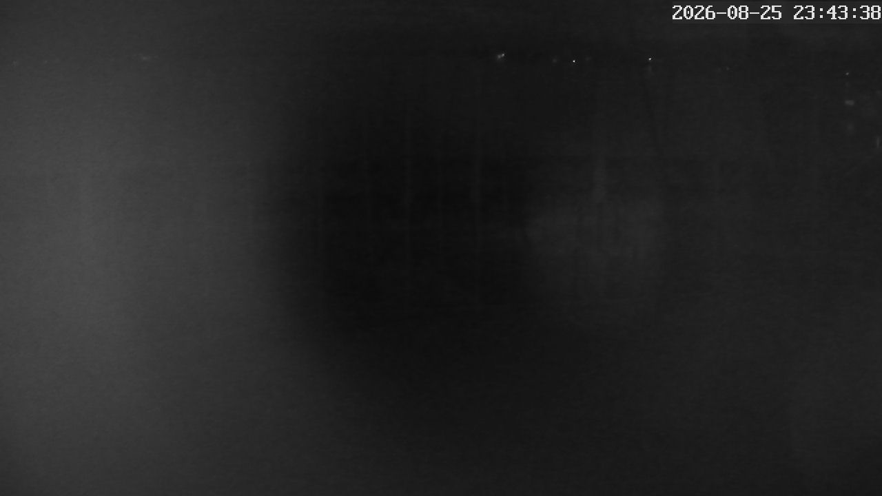 MRSV Bayern Webcam