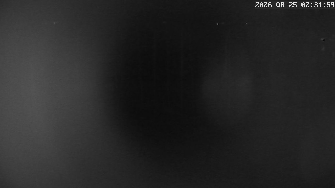 MRSV Bayern Webcam