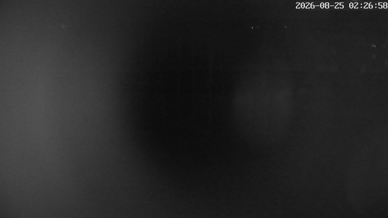MRSV Bayern Webcam