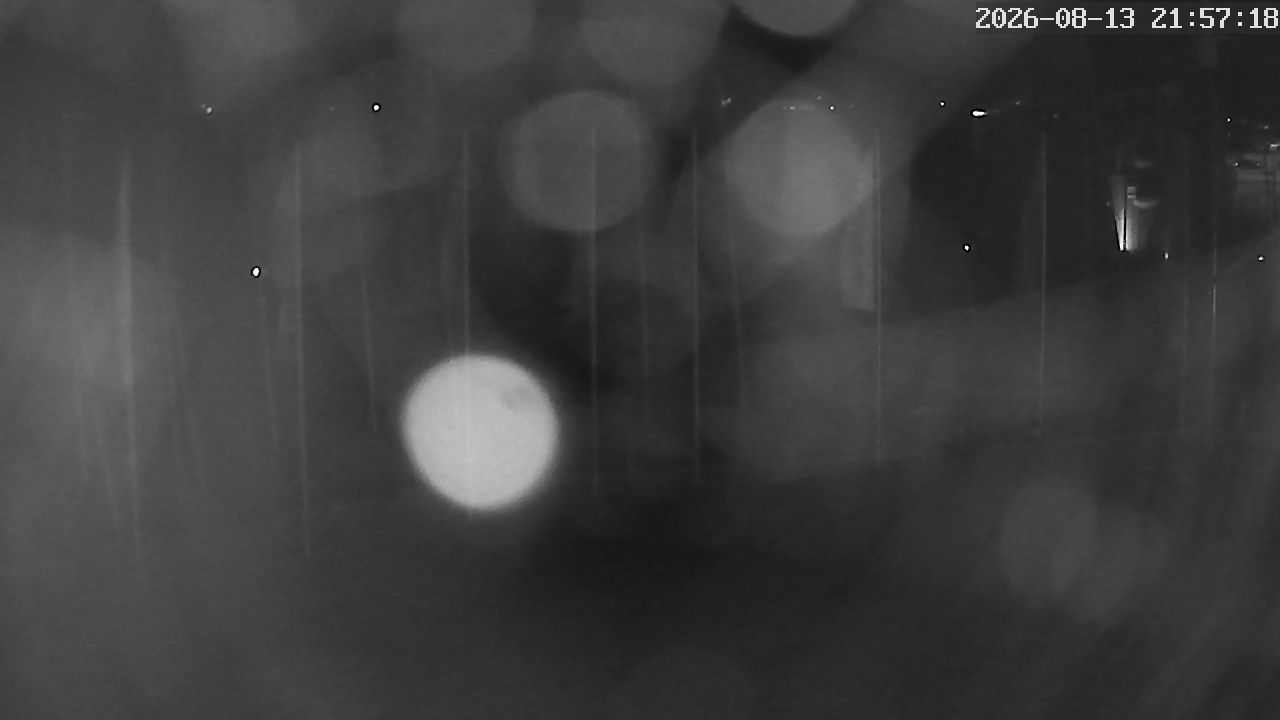 MRSV Bayern Webcam
