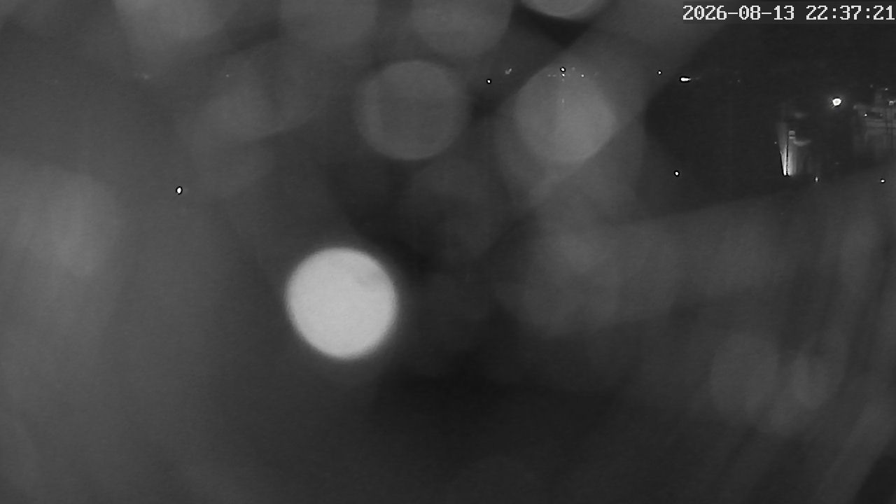 MRSV Bayern Webcam